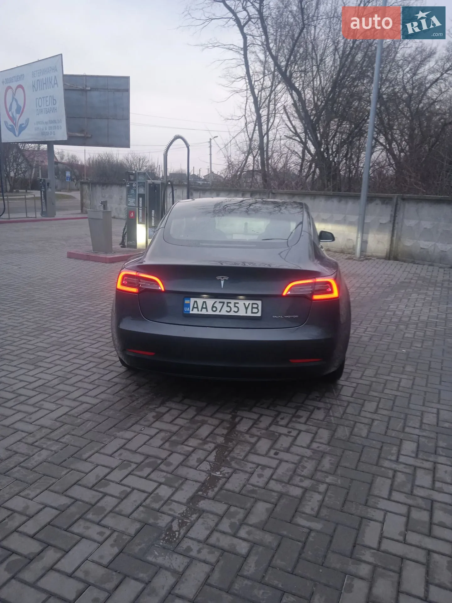2019 Tesla Model 3 - мініатюра 3