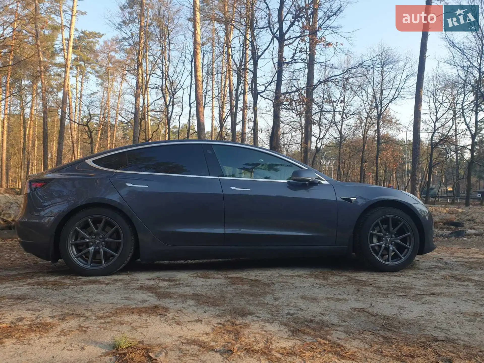2019 Tesla Model 3 - мініатюра 6