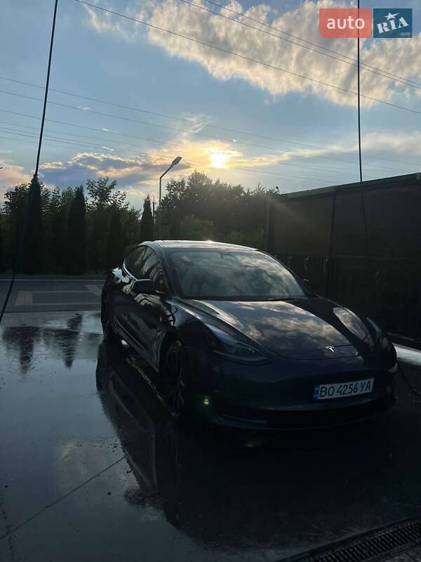 Седан Tesla Model 3 2022 в Почаєві