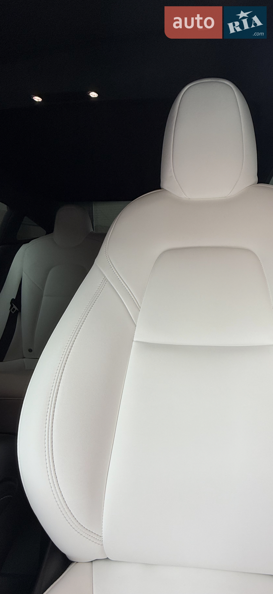 2021 Tesla Model 3 - мініатюра 69