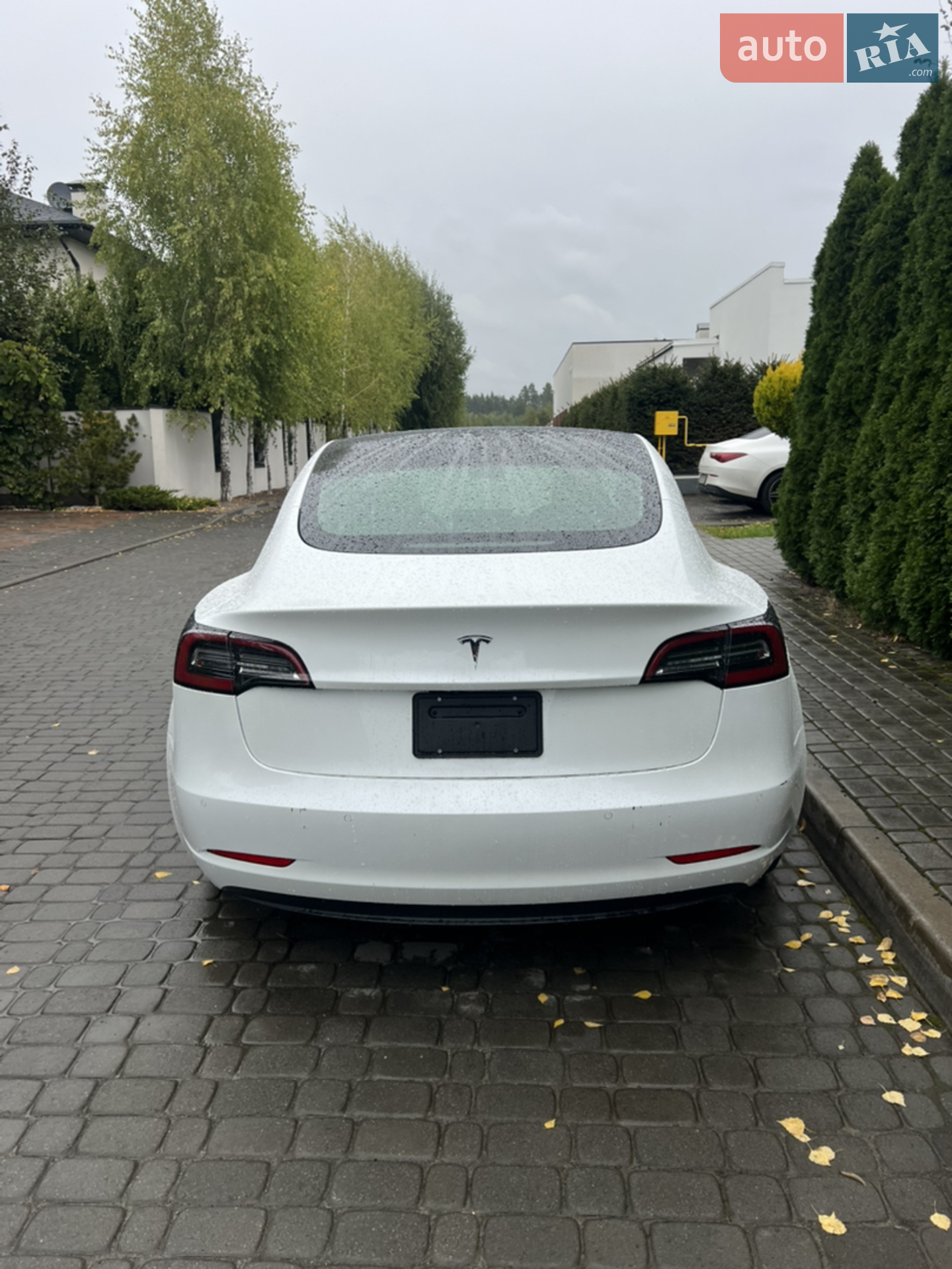2019 Tesla Model 3 - мініатюра 6