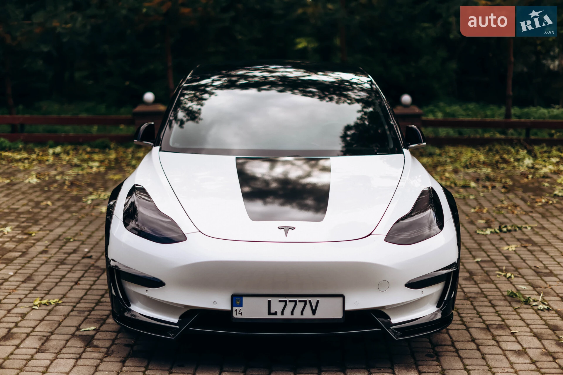 2019 Tesla Model 3 - мініатюра 13