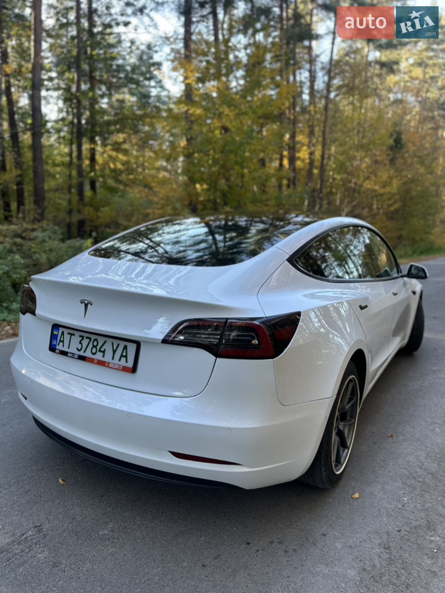 2021 Tesla Model 3 - мініатюра 4
