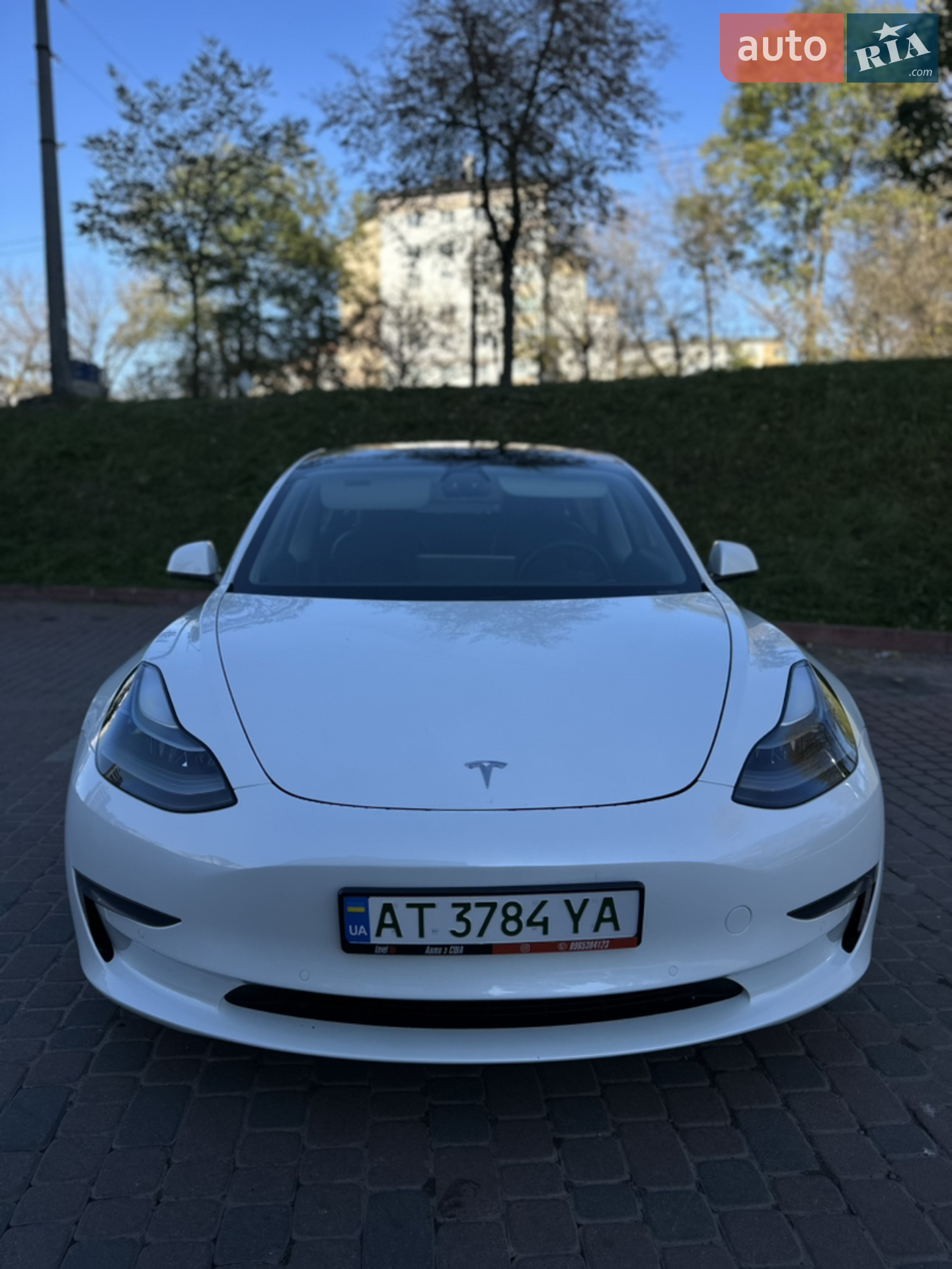 2021 Tesla Model 3 - мініатюра 12