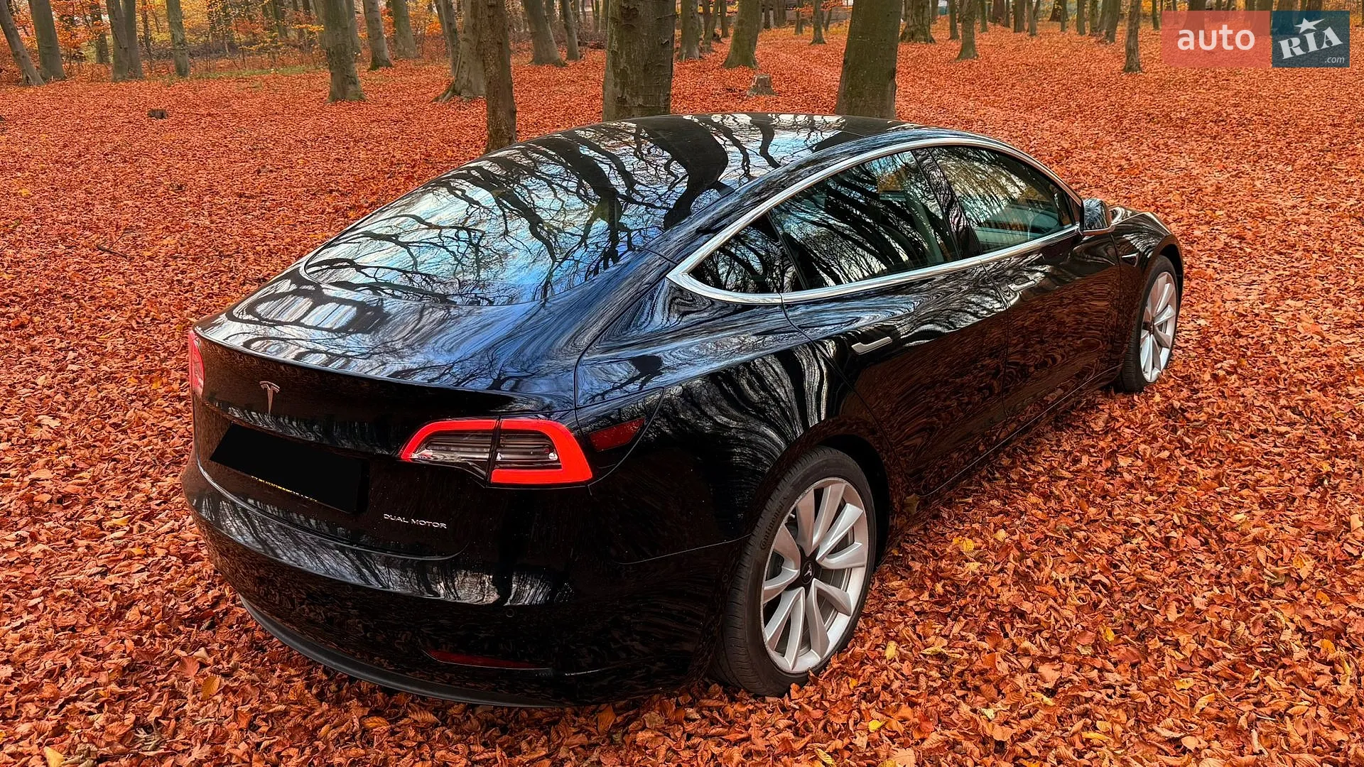 2019 Tesla Model 3 - мініатюра 4