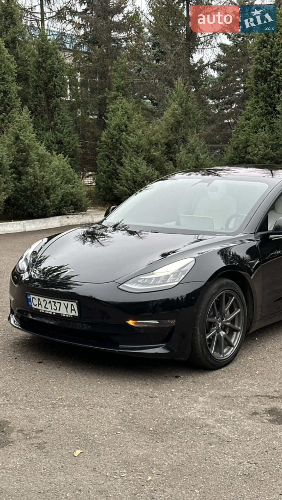 2018 Tesla Model 3 - мініатюра 2