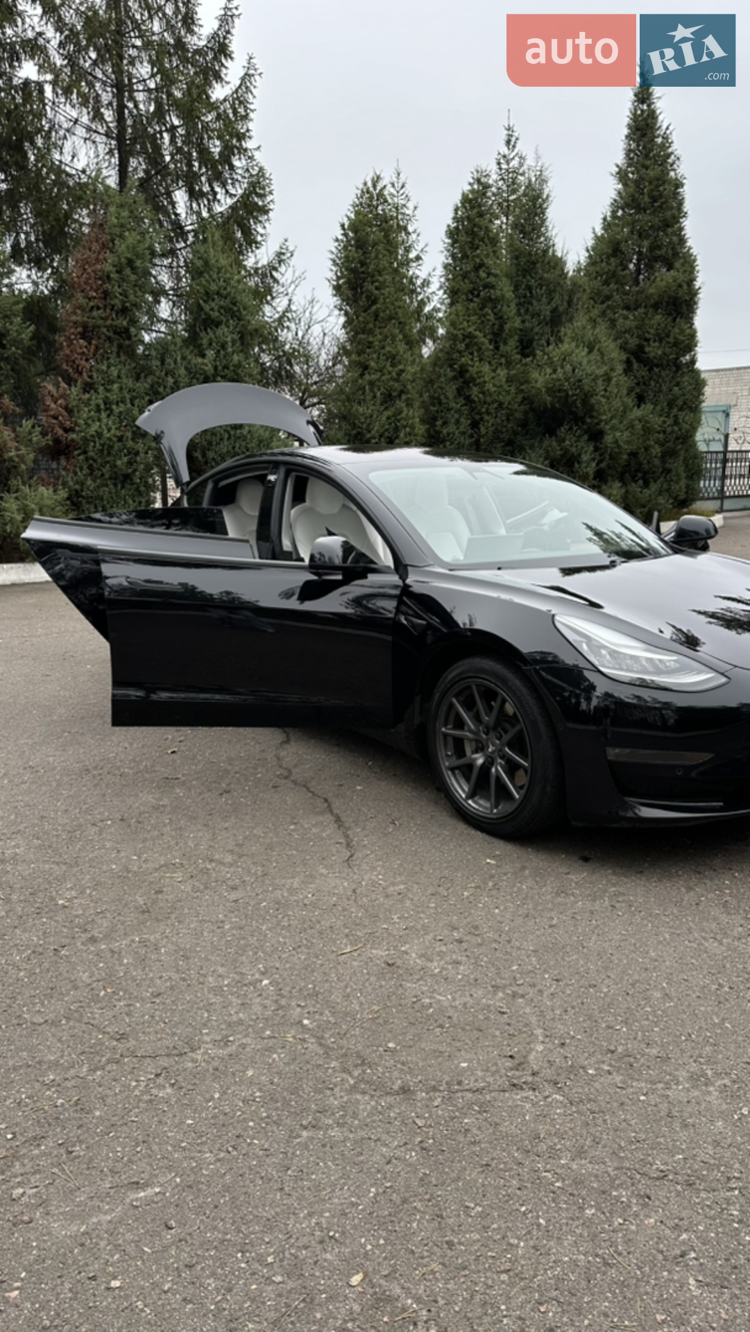 2018 Tesla Model 3 - мініатюра 18