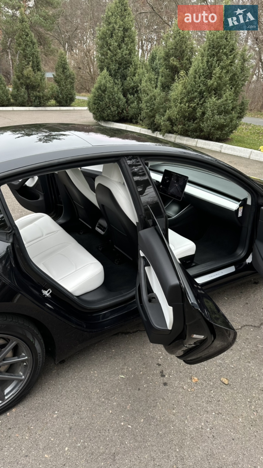 2018 Tesla Model 3 - мініатюра 19