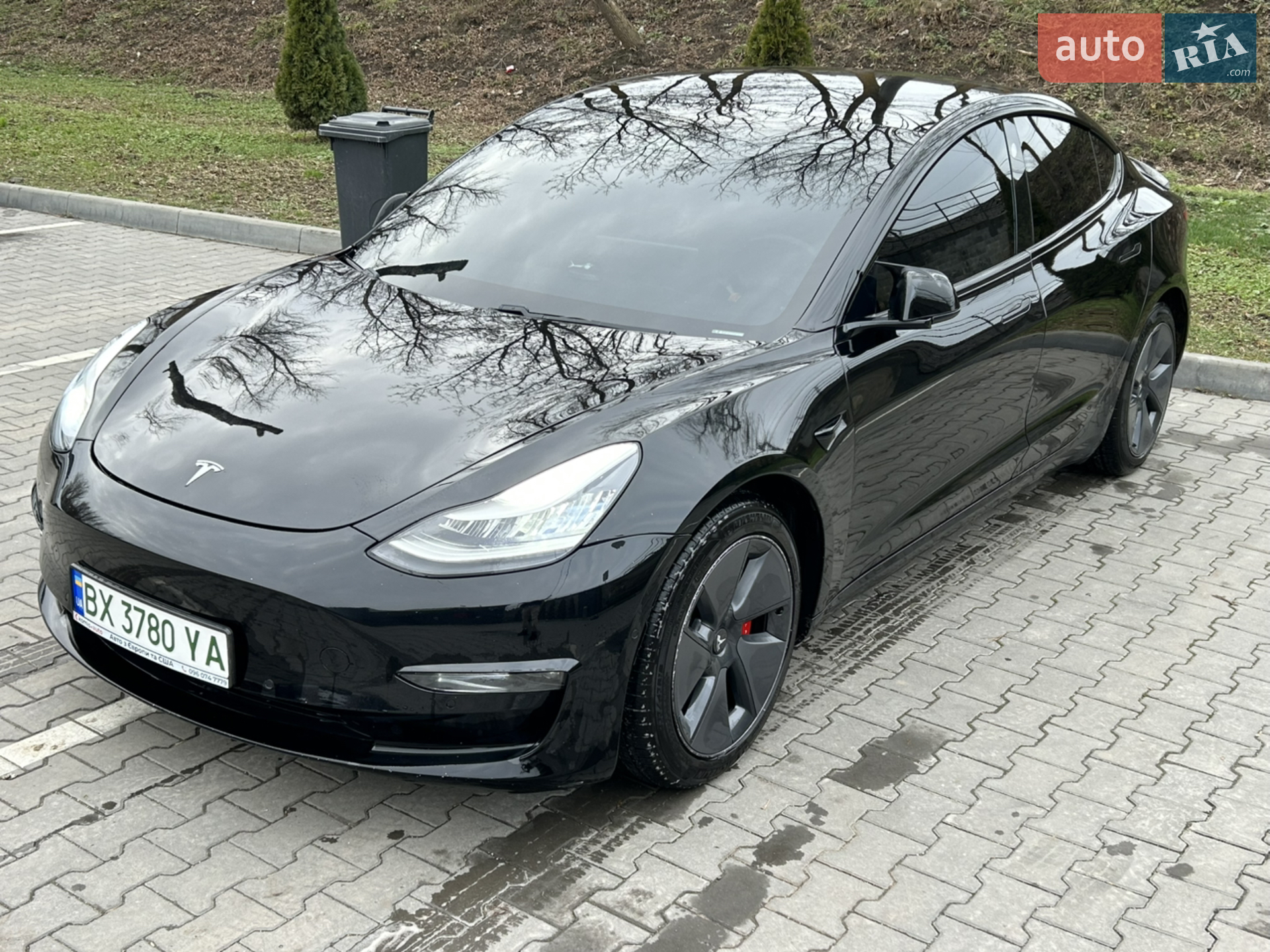 2019 Tesla Model 3 - мініатюра 4