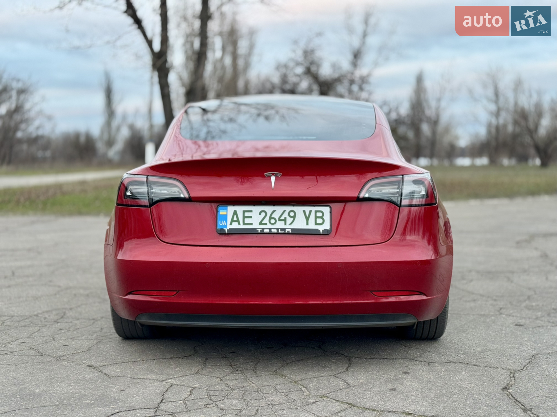 2021 Tesla Model 3 - мініатюра 4