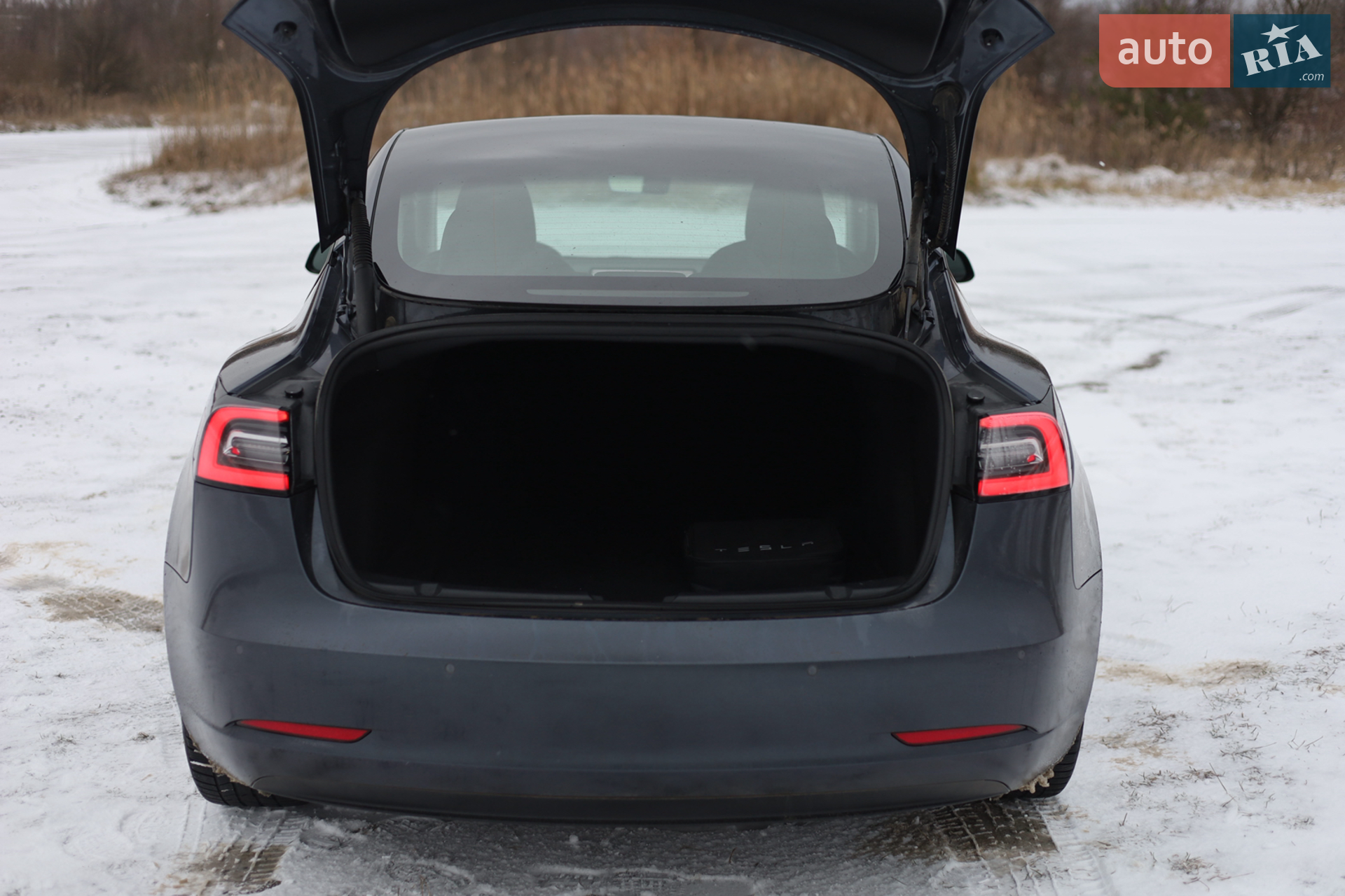 2021 Tesla Model 3 - мініатюра 13