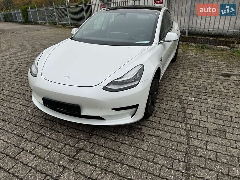 2019 Tesla Model-3, VIN 5YJ3E7EA1KF470180:plate — фото 1 (autoria)