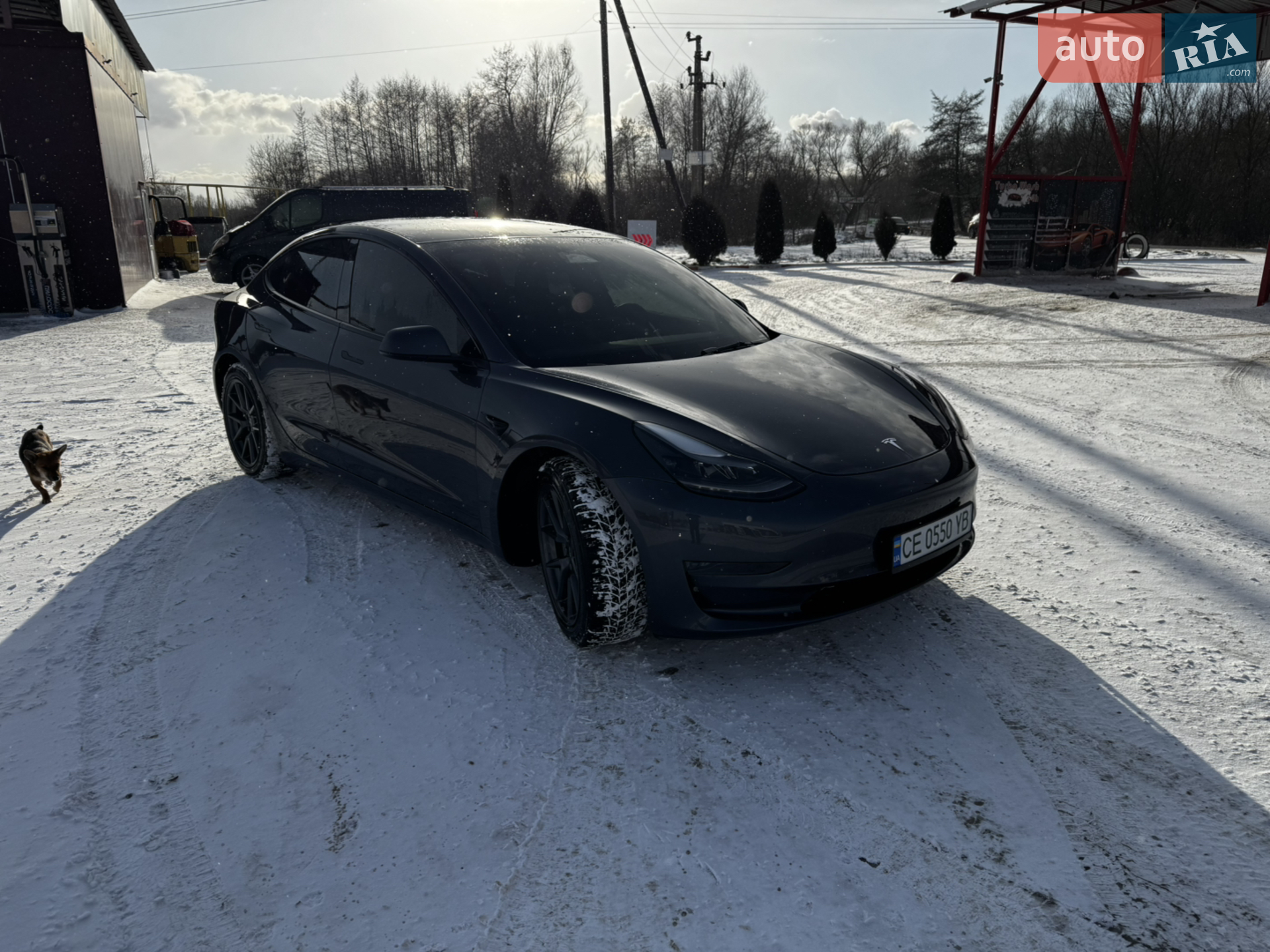 2022 Tesla Model 3 - мініатюра 2