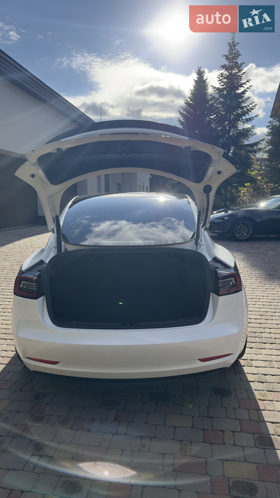 2022 Tesla Model 3 - мініатюра 6