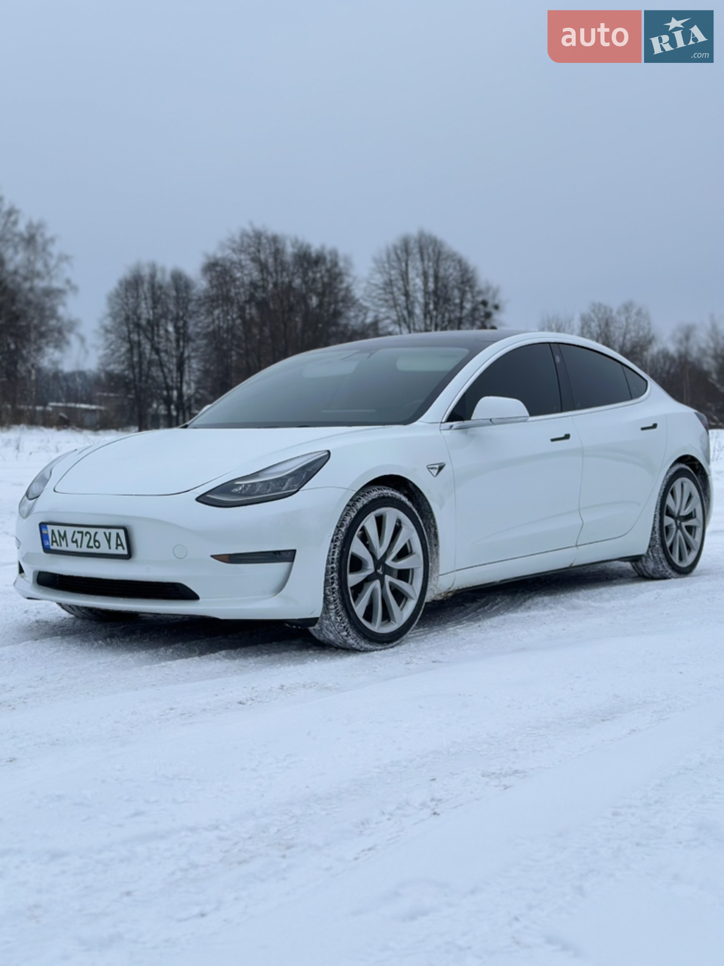 2019 Tesla Model 3 - мініатюра 3
