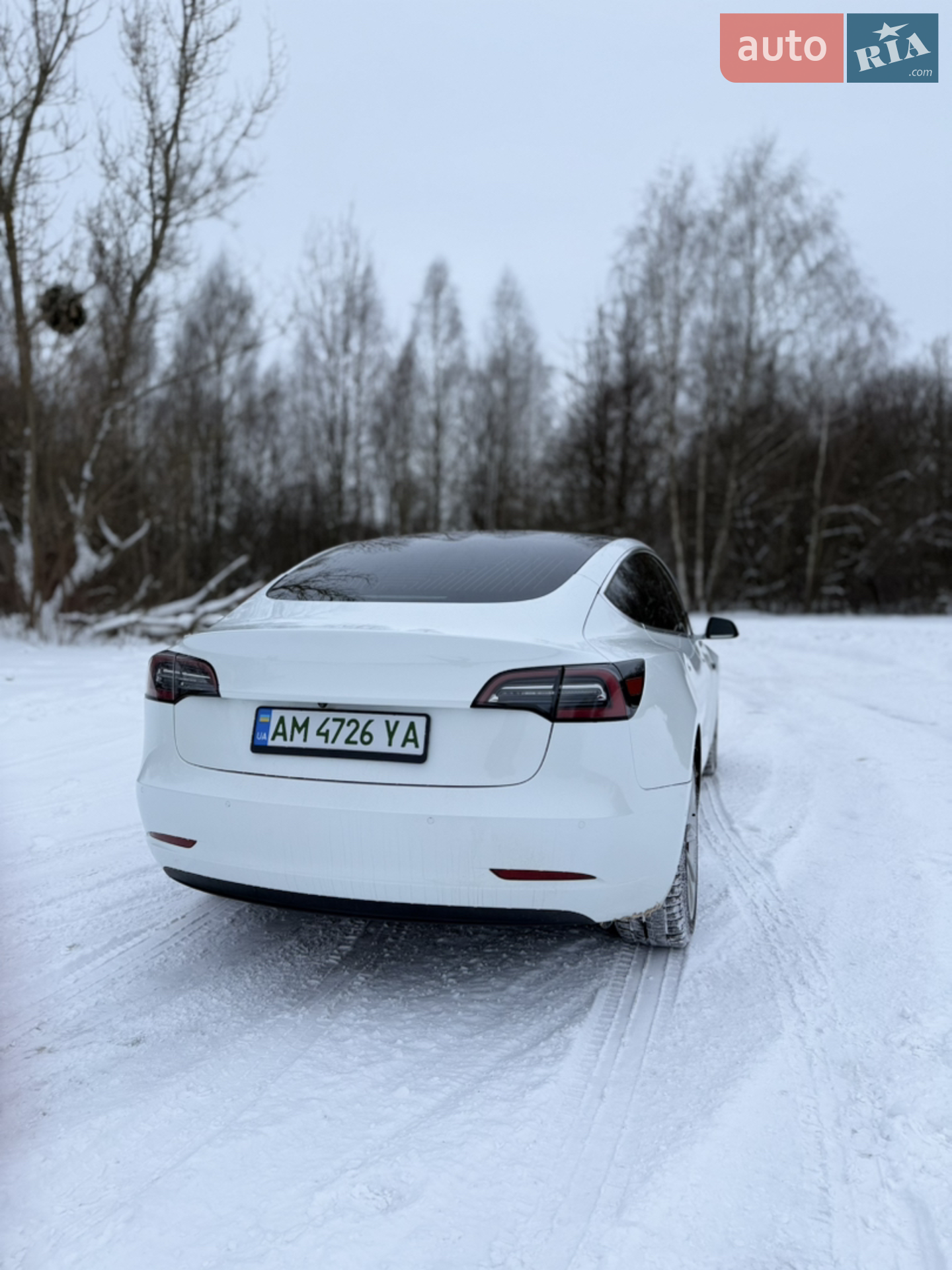 2019 Tesla Model 3 - мініатюра 20