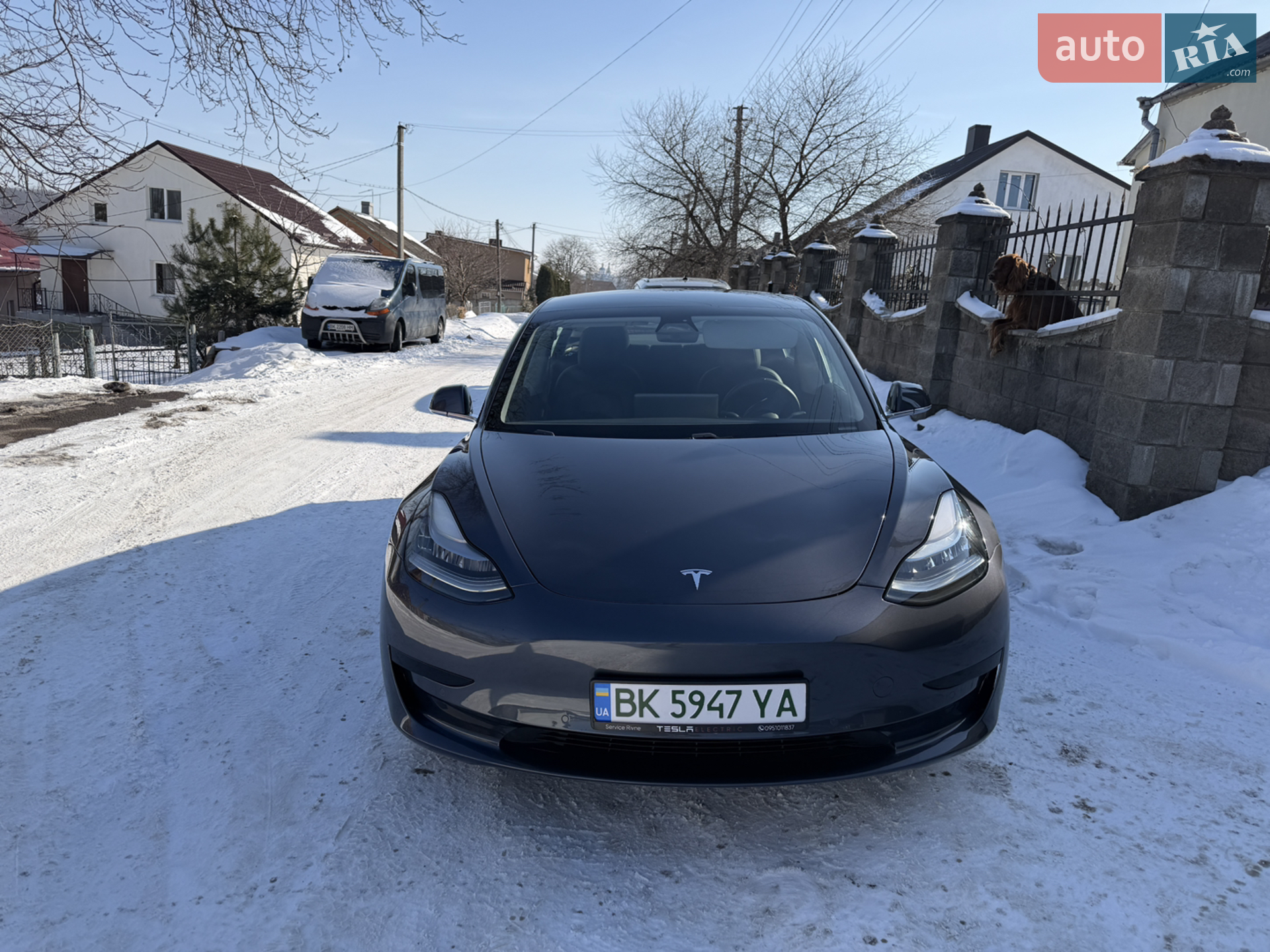 2019 Tesla Model 3 - мініатюра 7