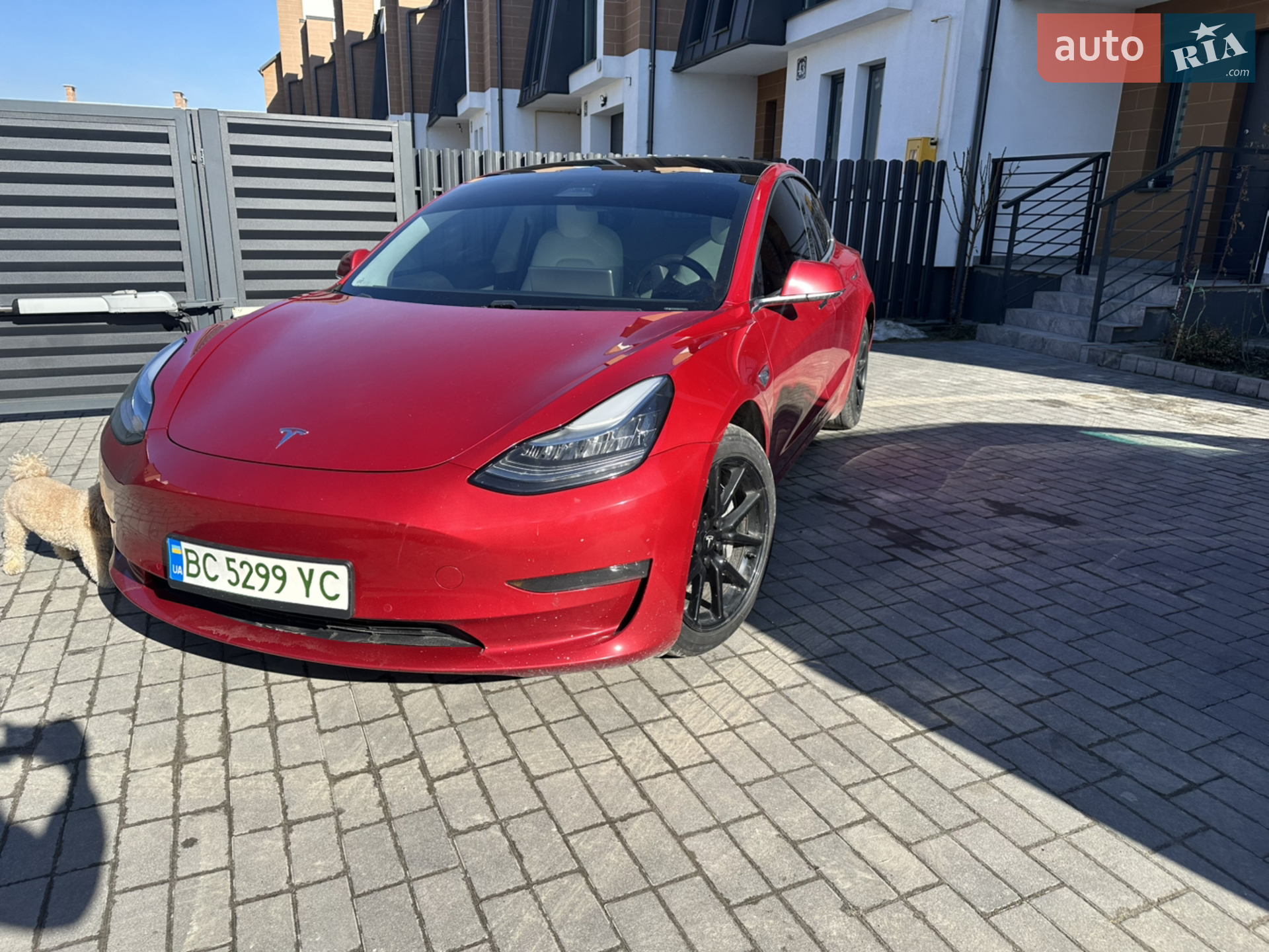 2020 Tesla Model 3 - мініатюра 3