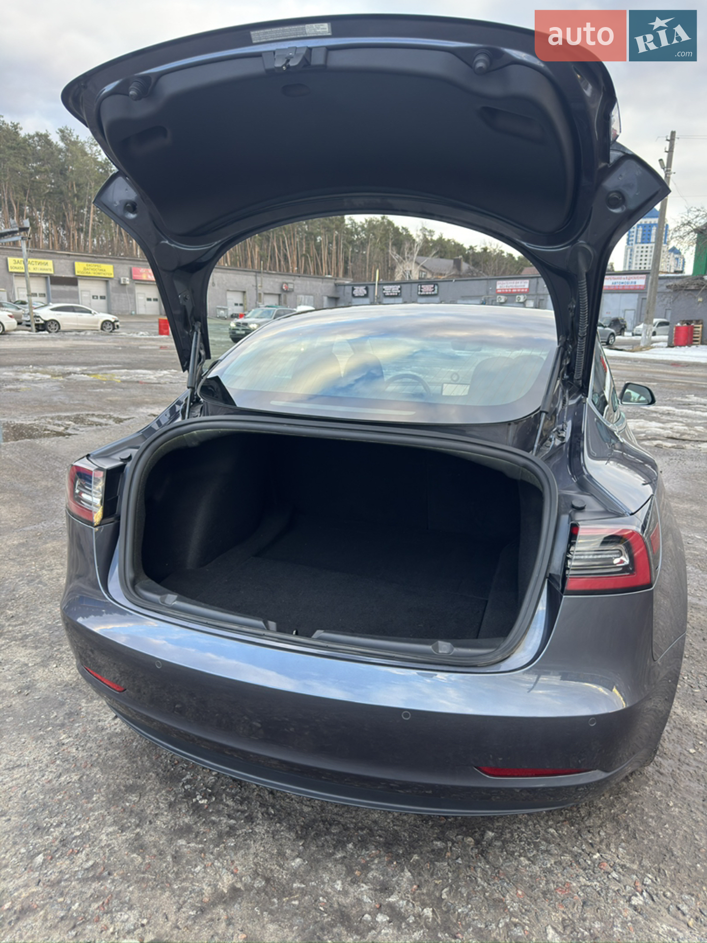 2020 Tesla Model 3 - мініатюра 9