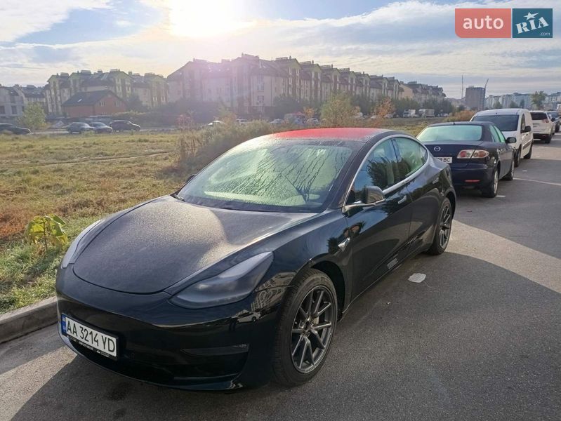 2019 Tesla Model 3, VIN 5YJ3E1EB2KF197062:plate — фото 1 (autoria)