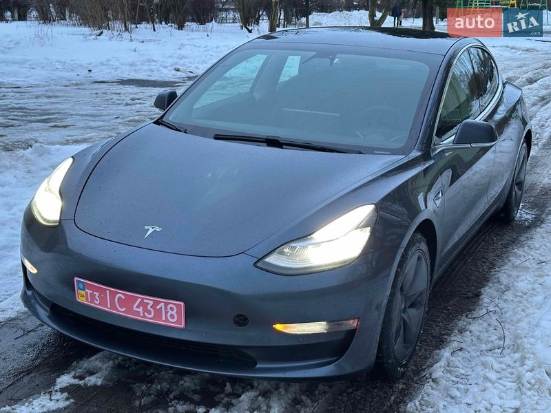 2019 Tesla Model 3, VIN 5YJ3E1EB4LF635307:plate — фото 1 (autoria)