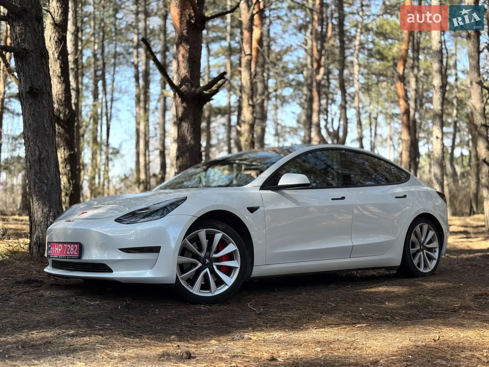 2019 Tesla Model 3 - фото 1