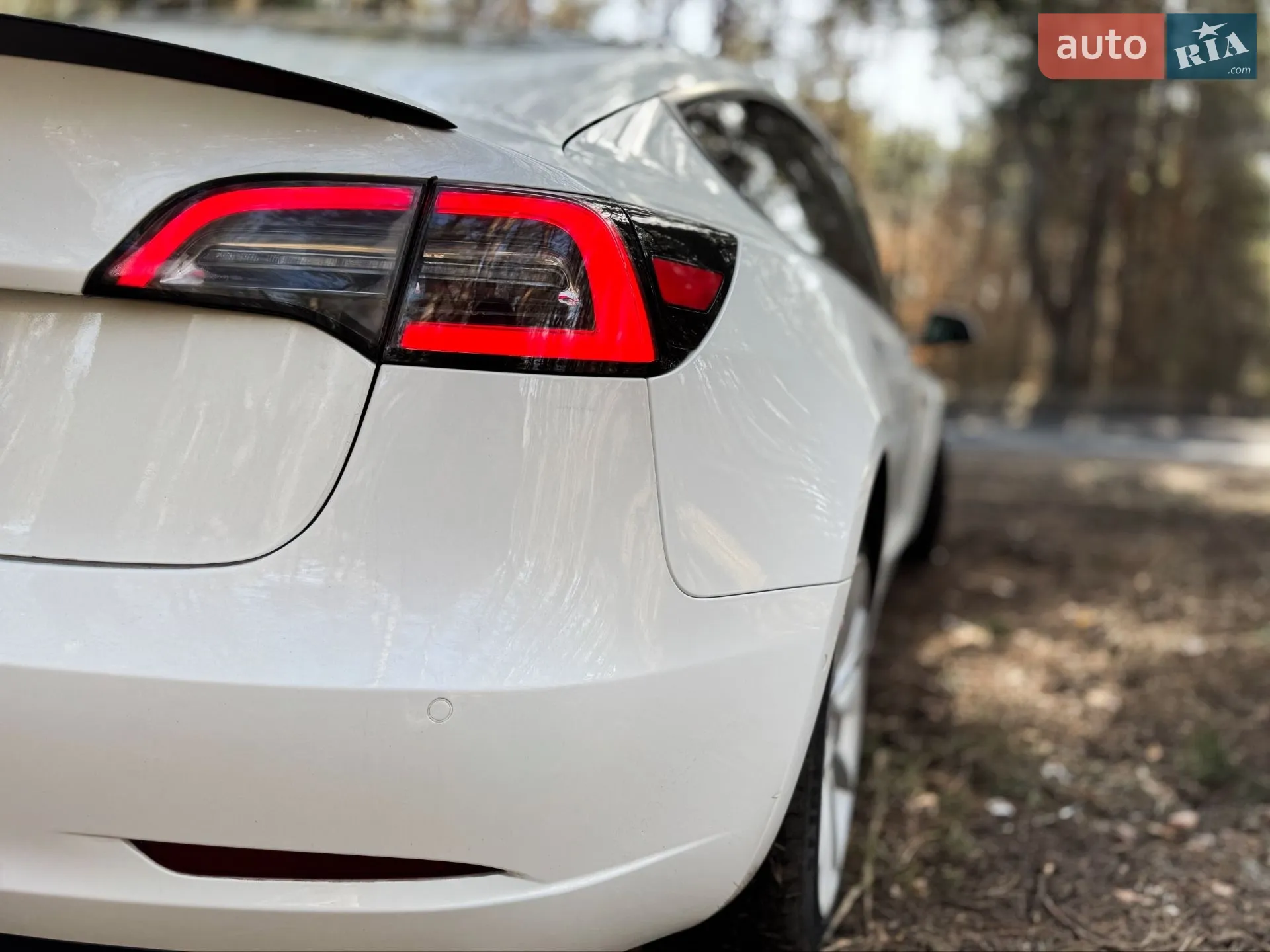2019 Tesla Model 3 - мініатюра 9