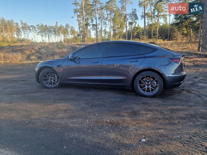 2021 Tesla Model-3, VIN 5YJ3E1EA5NF124422:plate — фото 1 (autoria)