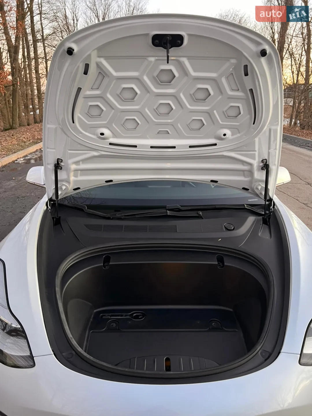 2019 Tesla Model 3 - мініатюра 27