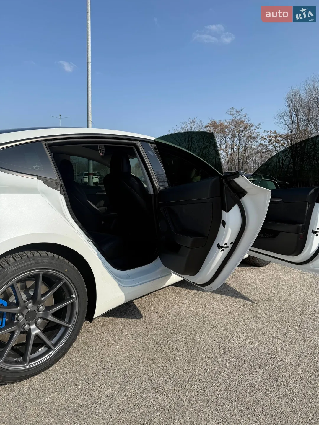2021 Tesla Model 3 - мініатюра 9