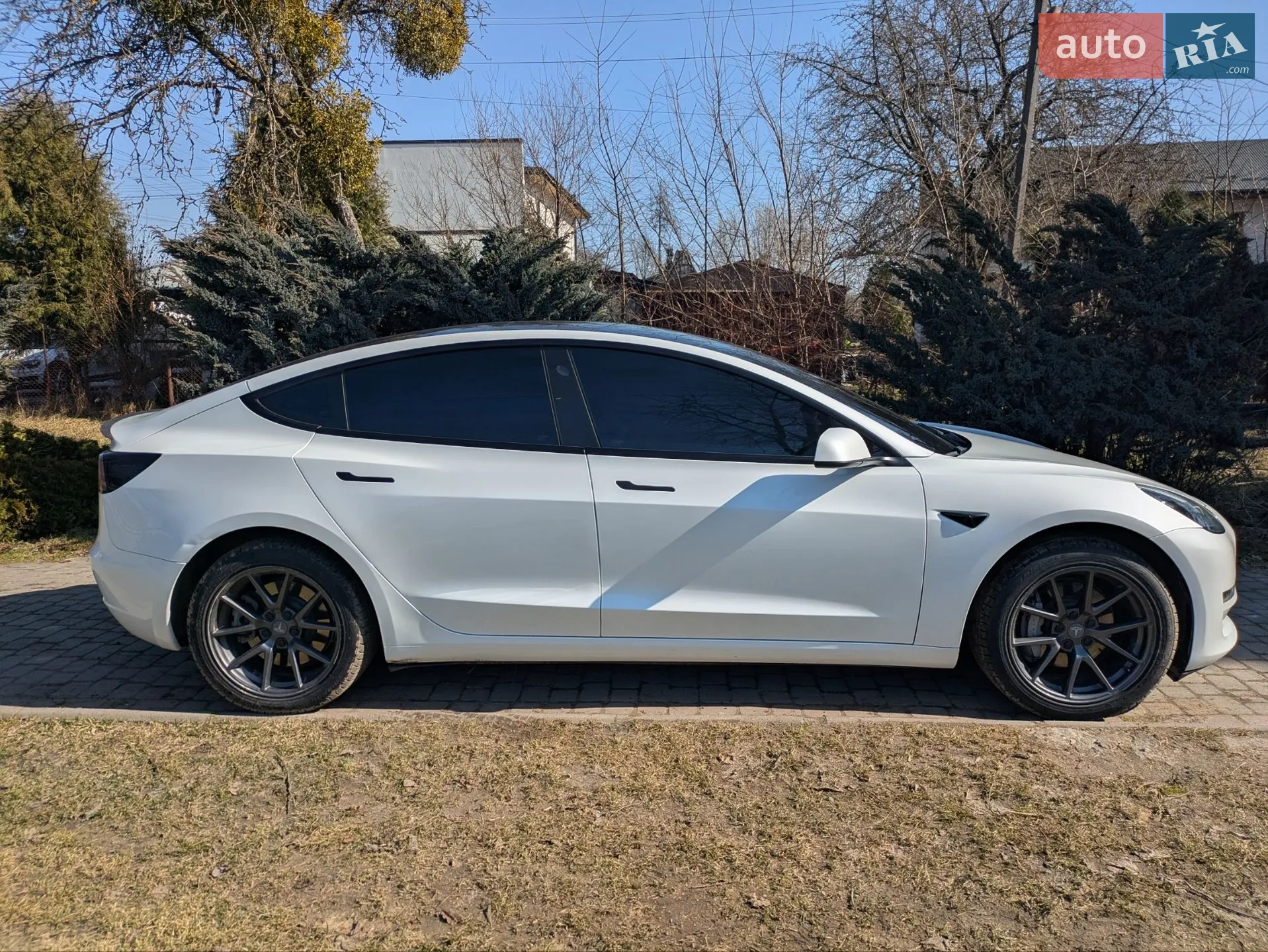 2023 Tesla Model 3 - мініатюра 6
