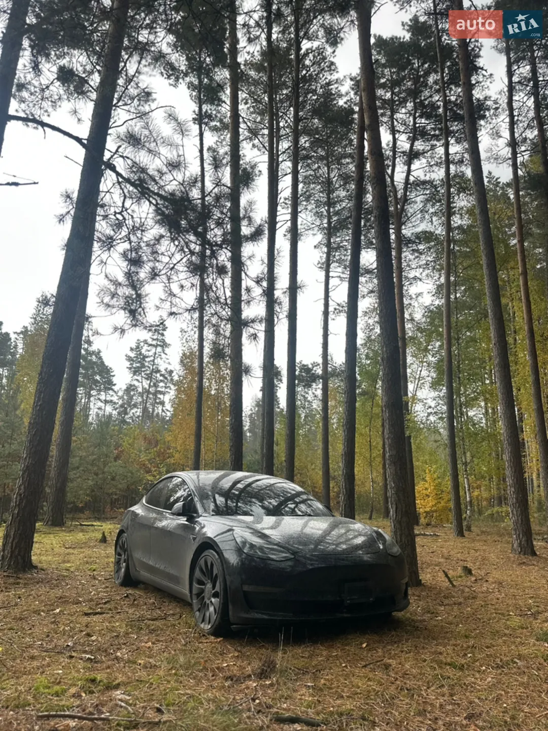 2022 Tesla Model 3 - мініатюра 61