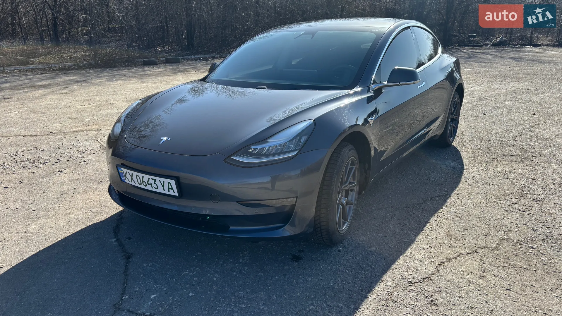 2019 Tesla Model 3 - фото 1