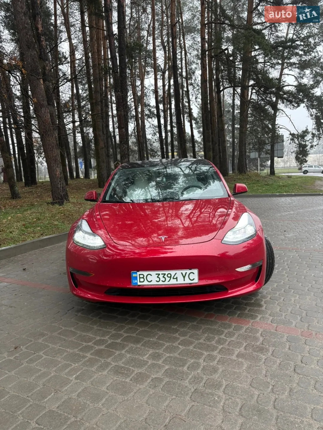 2022 Tesla Model 3 - мініатюра 6