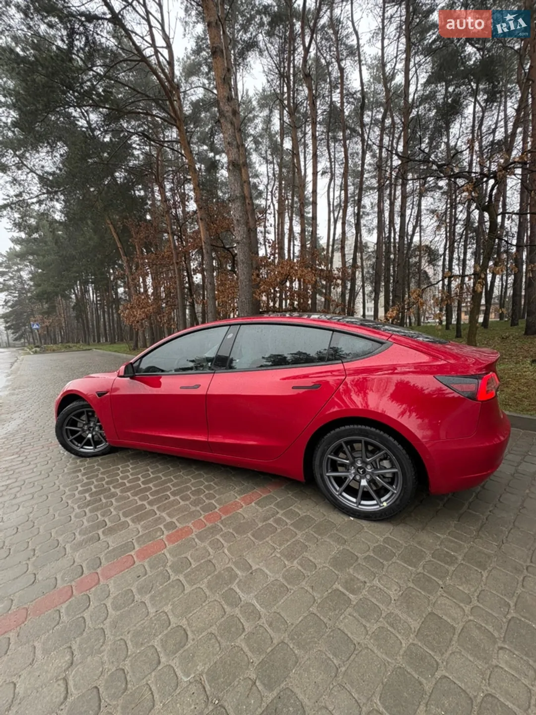 2022 Tesla Model 3 - мініатюра 4