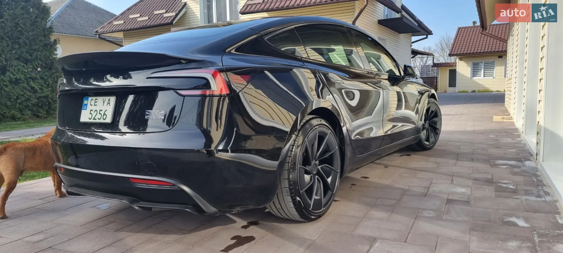 2024 Tesla Model 3 - мініатюра 8