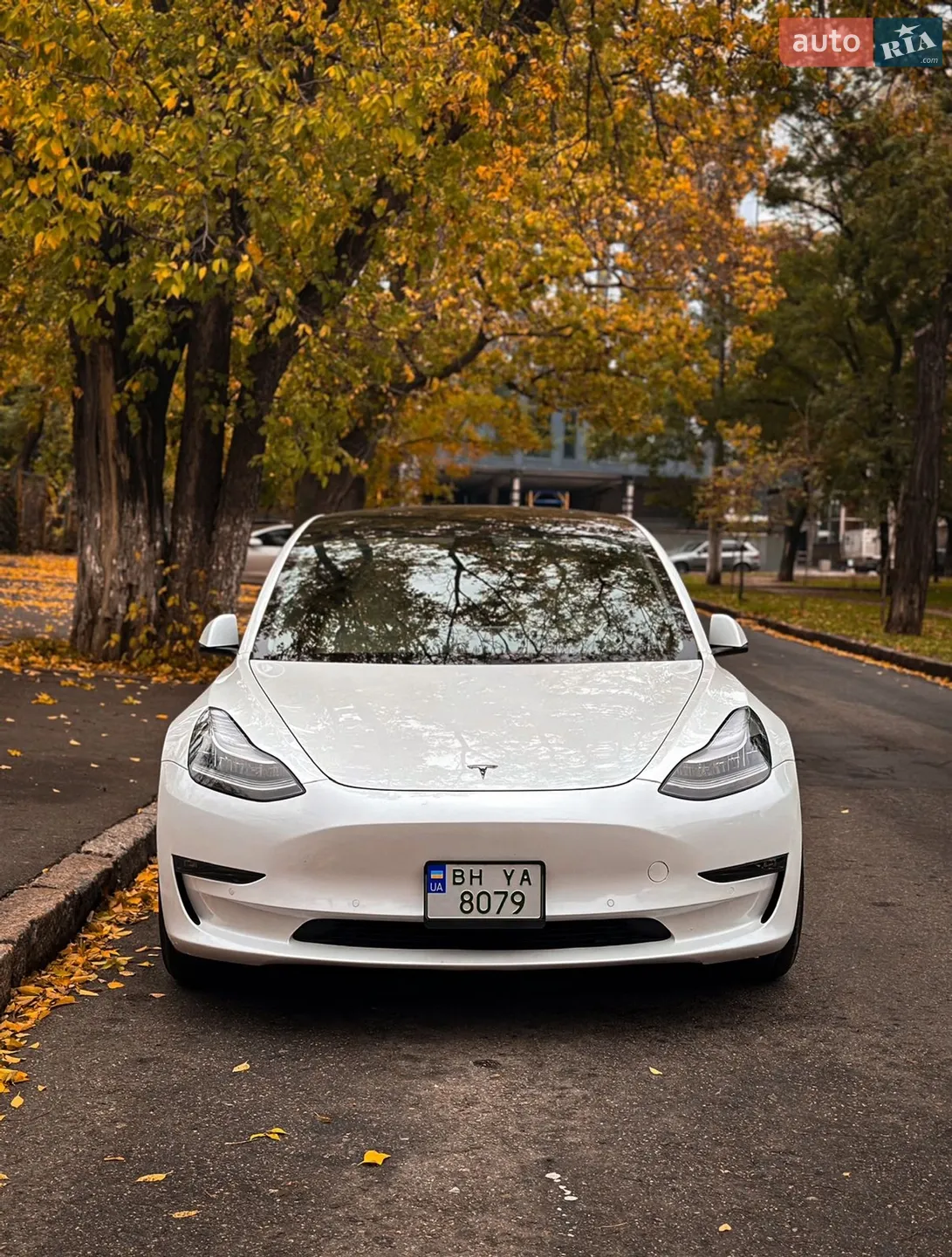 2020 Tesla Model 3 - мініатюра 6