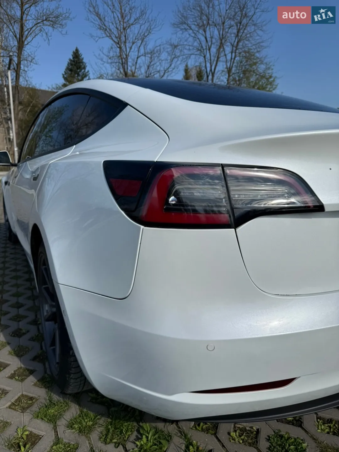 2019 Tesla Model 3 - мініатюра 24