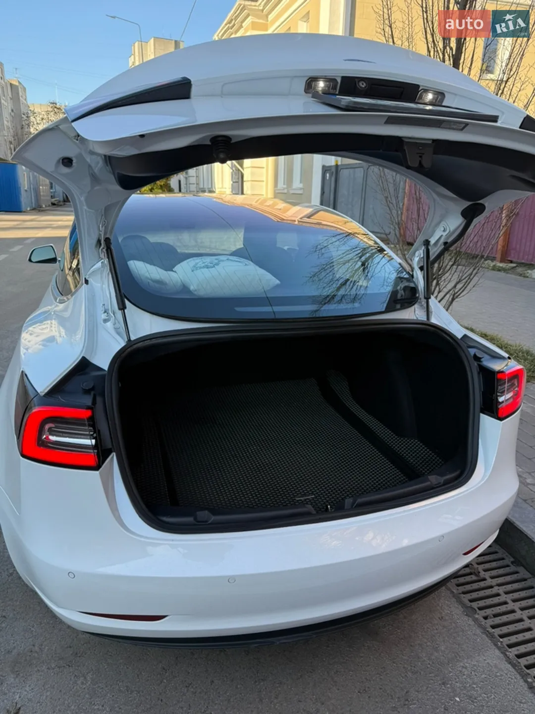 2018 Tesla Model 3 - мініатюра 3