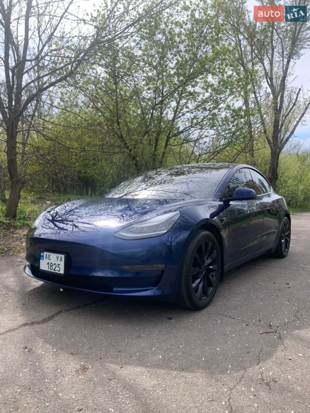 2019 Tesla Model 3 - мініатюра 2