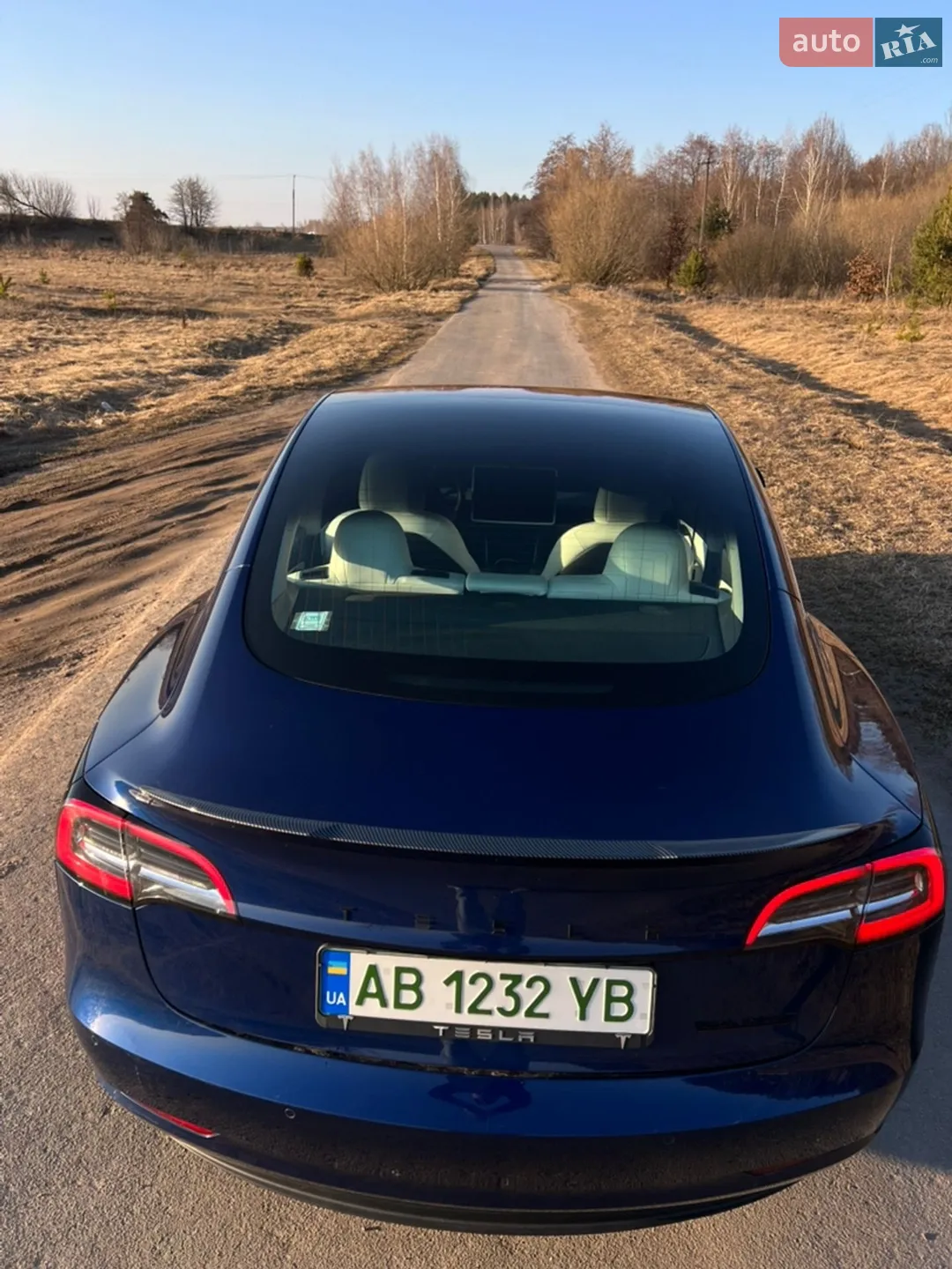 2018 Tesla Model 3 - мініатюра 3