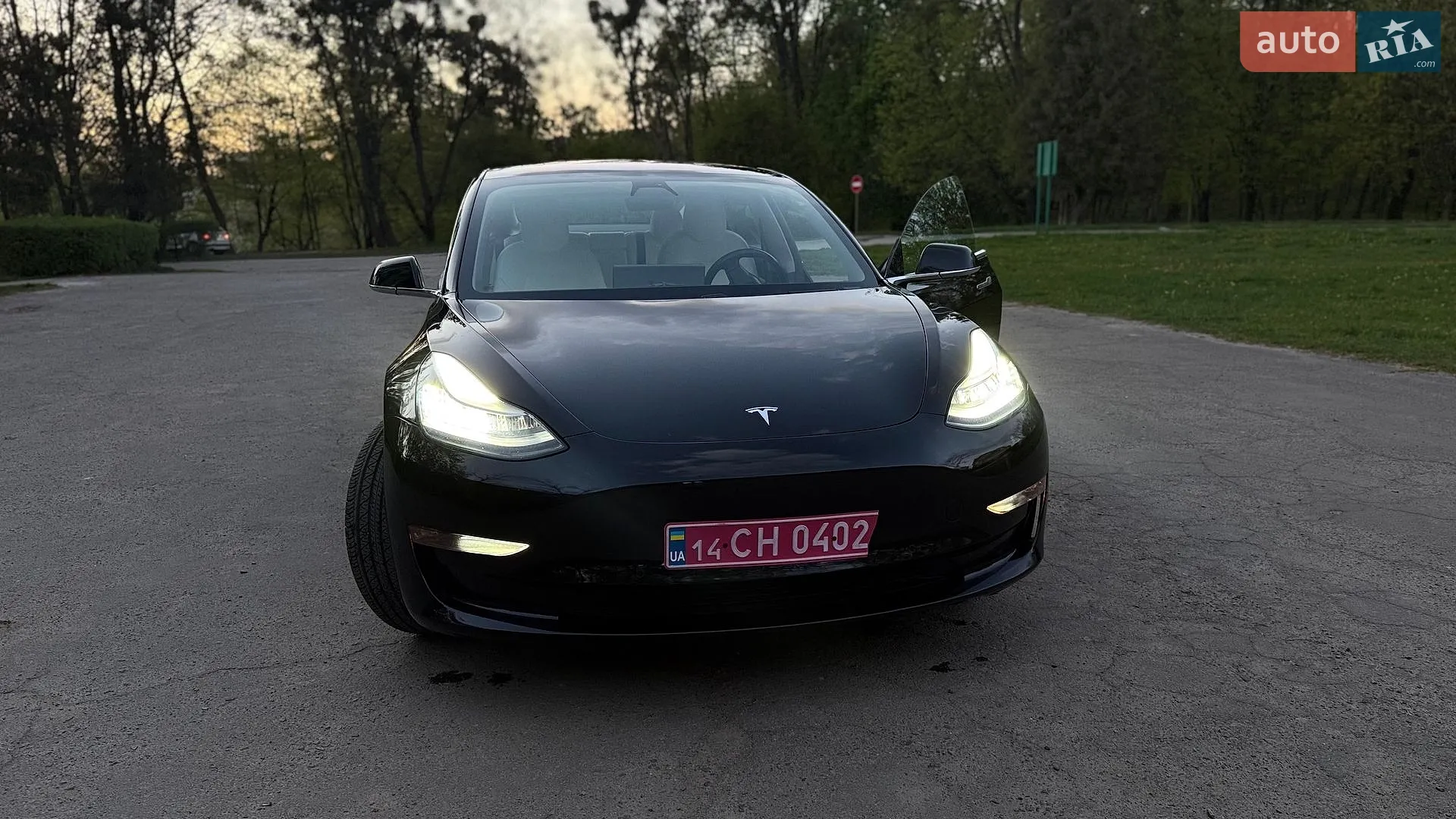 2019 Tesla Model 3 - мініатюра 5