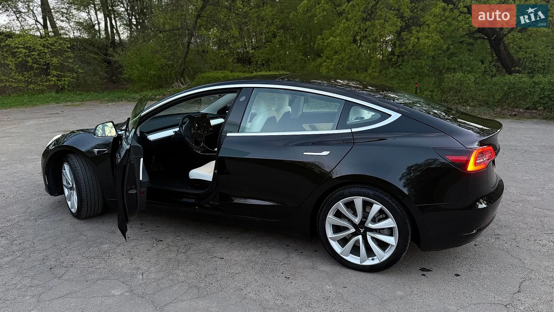 2019 Tesla Model 3 - мініатюра 2