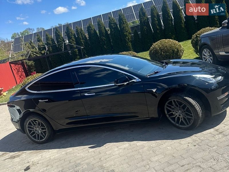 2019 Tesla Model 3, VIN 5YJ3E1EB3KF384407:plate — фото 1 (autoria)