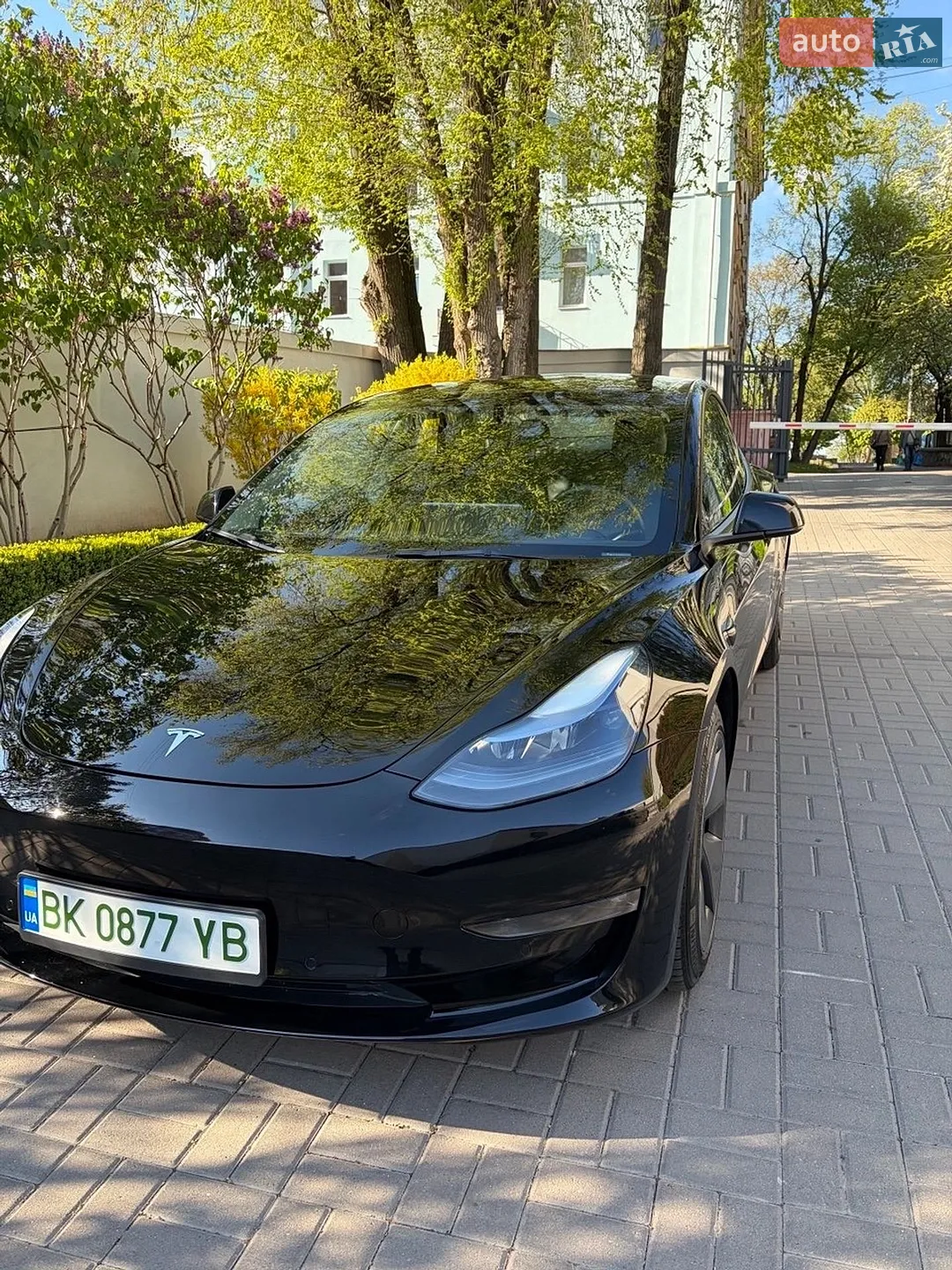 2022 Tesla Model 3 - мініатюра 9