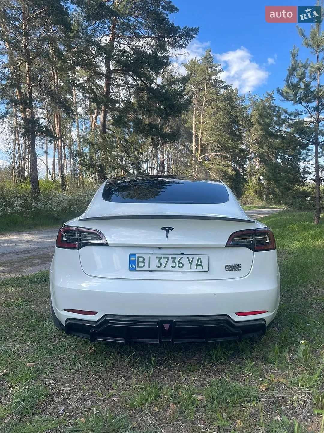 2021 Tesla Model 3 - мініатюра 4