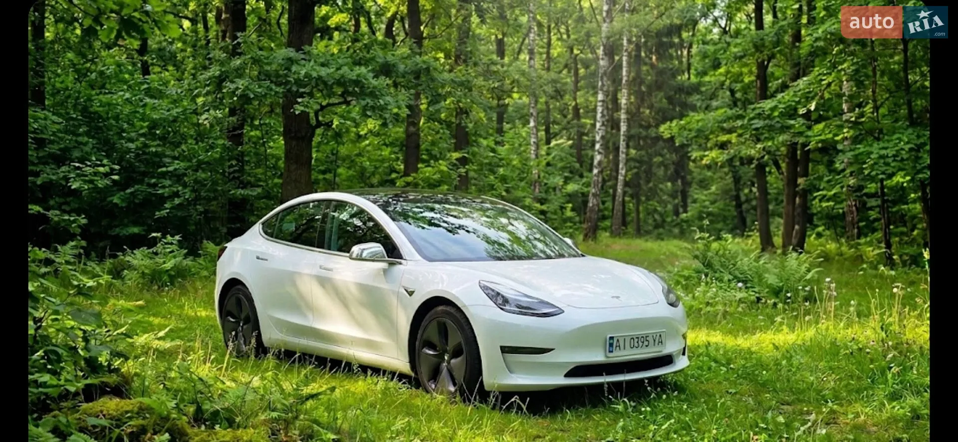 2020 Tesla Model 3 - мініатюра 35