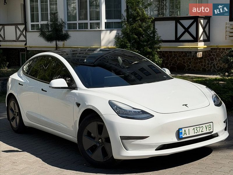 2019 Tesla Model 3, VIN 5YJ3E1EBXKF407262:plate — фото 1 (autoria)