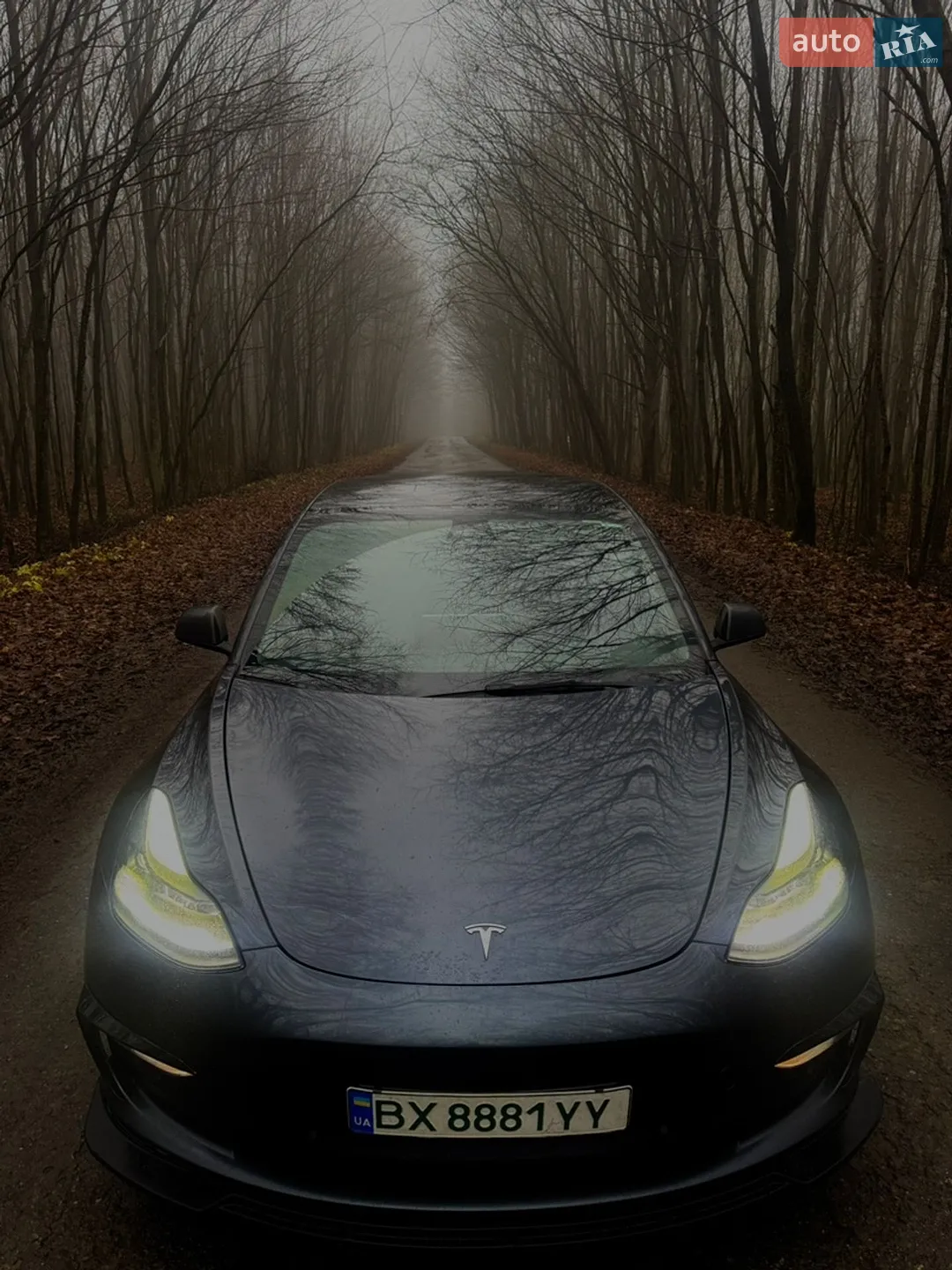 2022 Tesla Model 3 - мініатюра 12