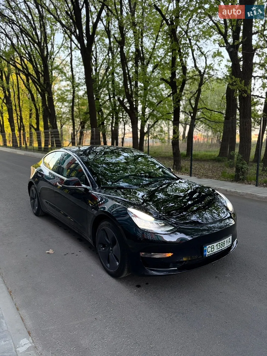 2019 Tesla Model 3 - мініатюра 3